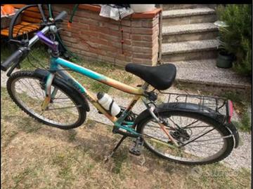 Bicicletta mountain bike ruote del 24