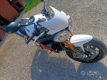 Triumph 