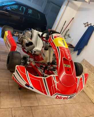 Kart Birel S16 - TM 10 C
