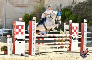 Cavalla da salto ostacoli, vera "professoressa"