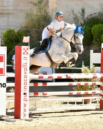 Cavalla da salto ostacoli, vera "professoressa"