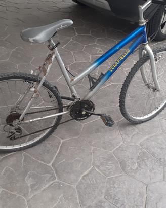 Mountain bike