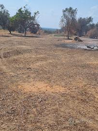 Terreno 40 aree