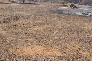 Terreno 40 aree