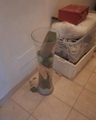 Vorta fiori  vasi
