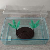 Vaschetta per tartarughe