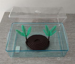 Vaschetta per tartarughe