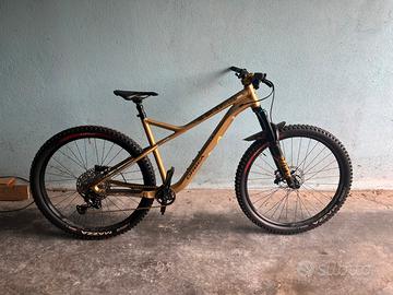 Orbea Mtb