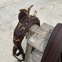 Finimento da carrozza