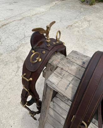 Finimento da carrozza