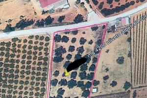 Terreno C.da Turrisi (Rif.1567)