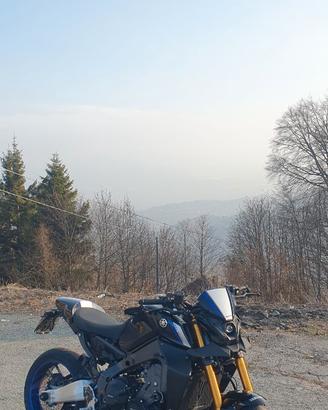 Mt 09 SP 2021
