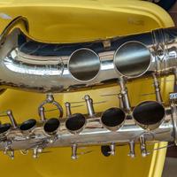 SERVIZIO DI REVISIONE COMPLETA SAX CONTRALTO