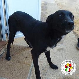 ZULEMA giovanissima dolcezza