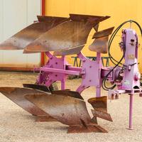 Aratro De Franceschi Bivomere 13