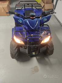 Quad elettrico motore 800w 48 v