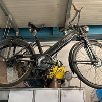 Ciclomotore Paglianti