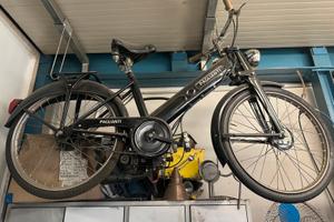 Ciclomotore Paglianti