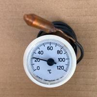 Termometro a cappilare