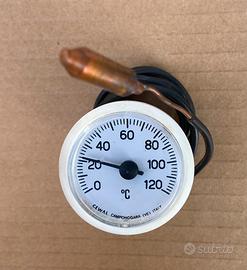 Termometro a cappilare