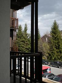 Cesana Torinese verdi valli del Piemonte