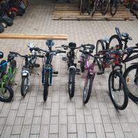 Lotto Biciclette Usate