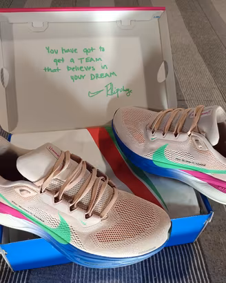 Nike Pegasus Air Zoom 