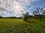 Immagine 25