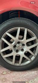 Cechi 16 golf 4 bbs