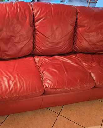 coppia divani 2 e 3 posti