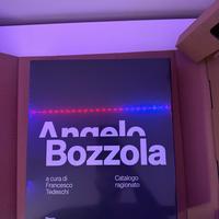 Angelo Bozzola Edizione 2025 Electa