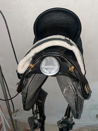 Selle Podium champion Pro