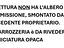 Immagine 17