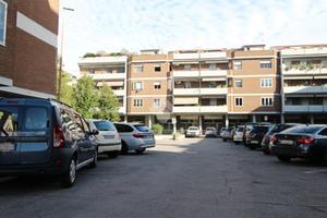BOX A PRATO