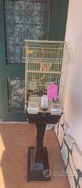 Gabbia pappagallo