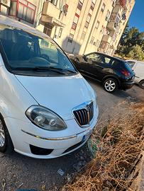 Lancia musa
