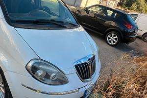Lancia musa
