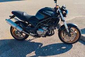 raptor 1000