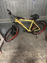 Bicicletta