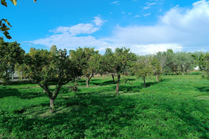 Terreno con palazzina
