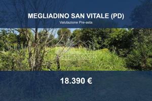 Immobile in asta di 1178 m² a Megliadino San Vital