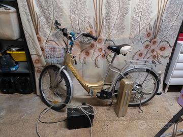 Bici elettrica