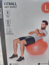Fitball Anti-Burst