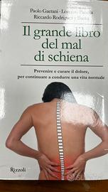 Il grande libro del mal di schiena