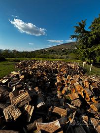 legna (ciocca d’ulivo , quercia,olmo,castegna)