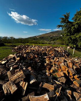 legna (ciocca d’ulivo , quercia,olmo,castegna)