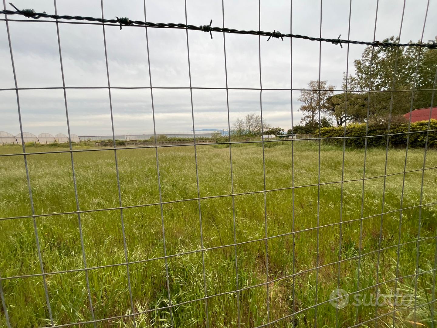 Terreno agricolo consorzio "le rose" - Vista 3