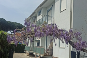 Appartamento Terracina lungomare