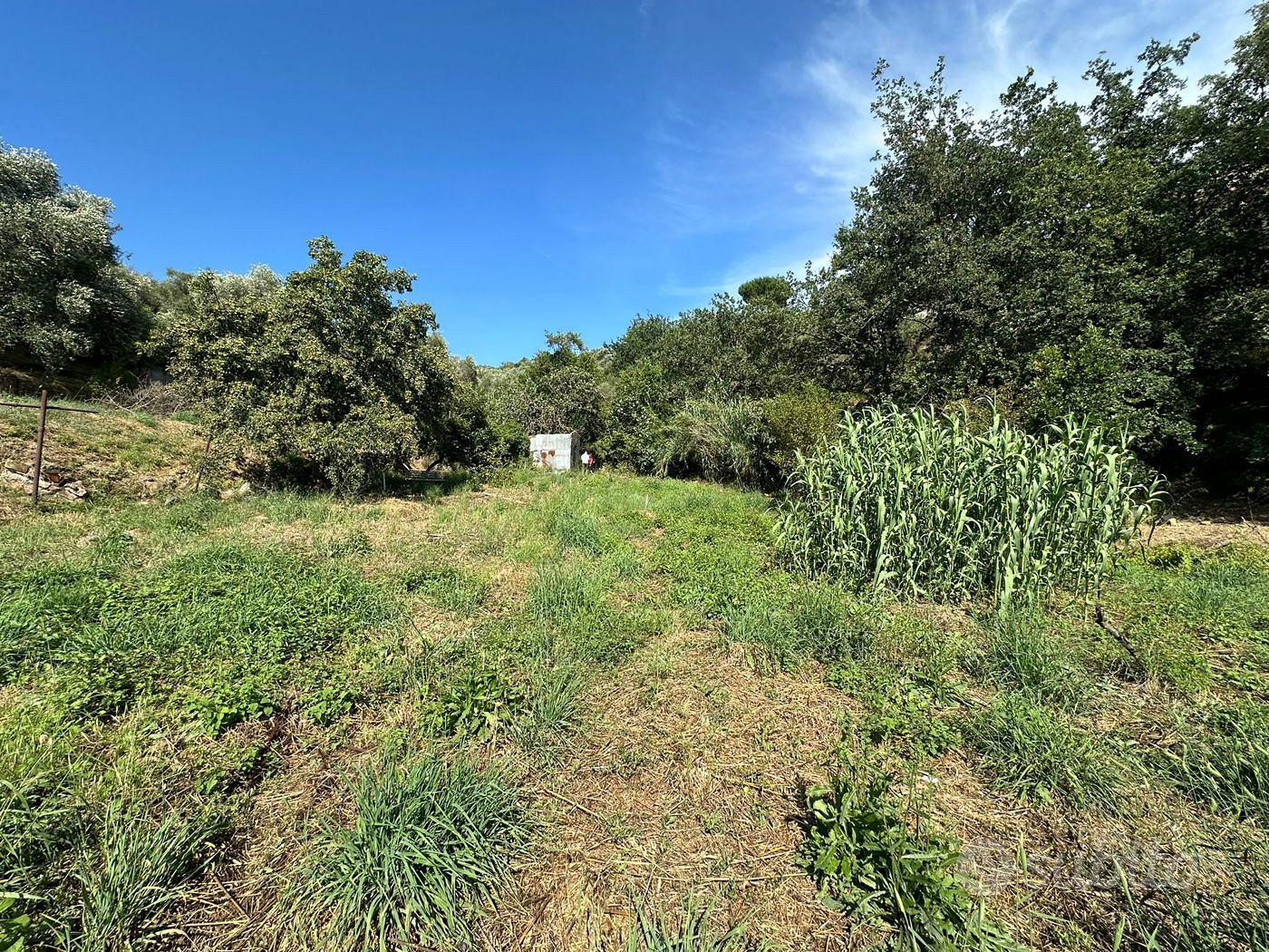 Terreno Residenziale Imperia [Cod. rif 802VRG] - Vista 3