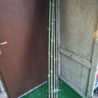 mazzo 20 canne bambù per orto alte 200 cm.